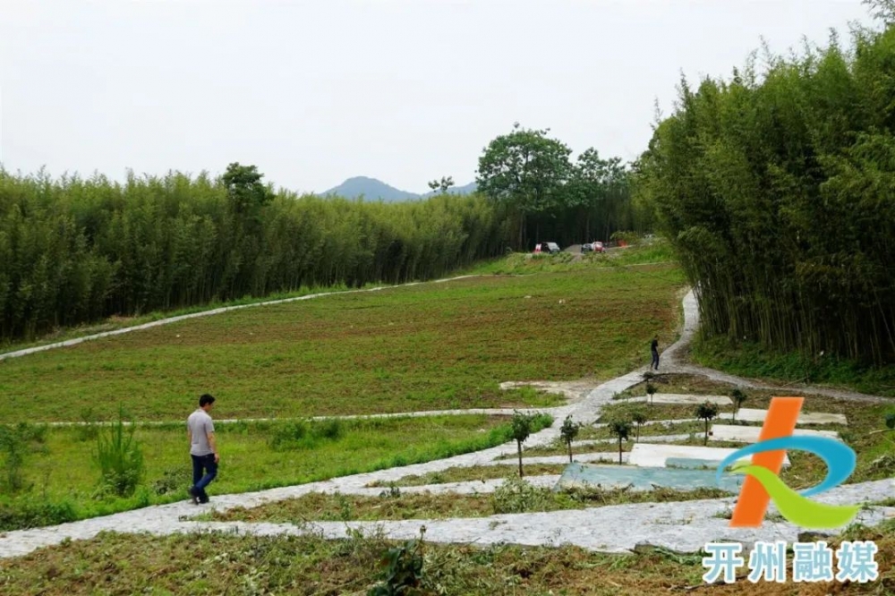 岳溪鎮(zhèn)發(fā)展規(guī)劃概覽，未來(lái)藍(lán)圖揭秘